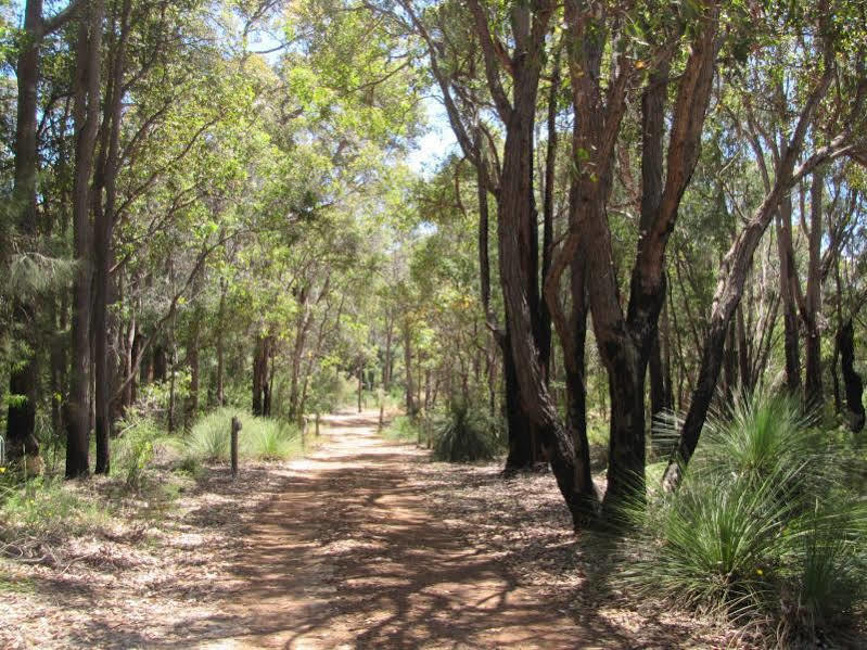 Hidden Valley Forest Retreat Carbunup Εξωτερικό φωτογραφία